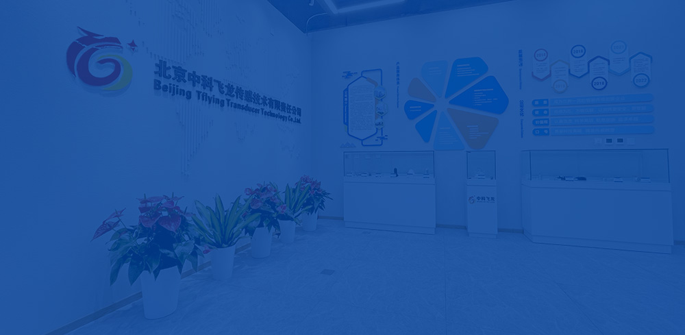 北京中科飛龍傳感技術(shù)有限責任公司